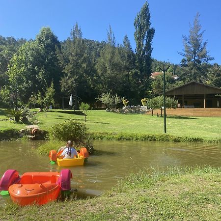 阿鲁卡Quinta Da Vinha Do Souto别墅 外观 照片