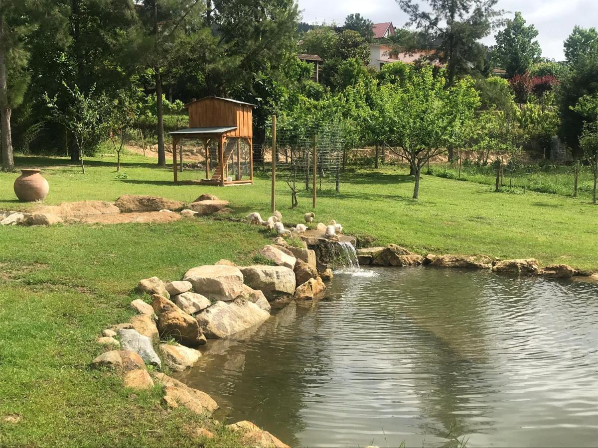 阿鲁卡Quinta Da Vinha Do Souto别墅 外观 照片